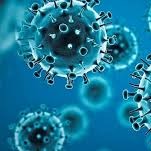 Corona Virus Prophylaxis